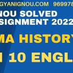mhi 10 solved assignment 2023 in english