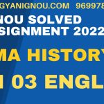 mhi 03 solved assignment 2023 in english