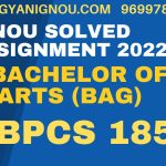 bpcs 185 solved assignment 2022-23 in english