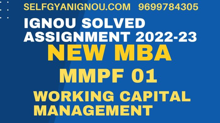 mmpf 1 solved assignment 2022-23