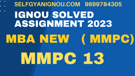 ms 91 solved assignment 2022