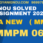 mmpm 06 solved assignment 2023