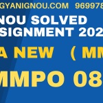 MMPO 08 SOLVED ASSIGNMENT 2023