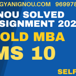ms 10 solved assignment 2023