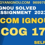 BCOG 172 solved assignment 2023