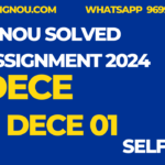 DECE 01 Diploma Ignou assignment 2024