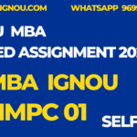 MMPC 01 Solved Assignment MBA Ignou 2024-25