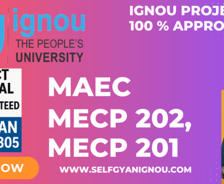 IGNOU MAEC PROJECT