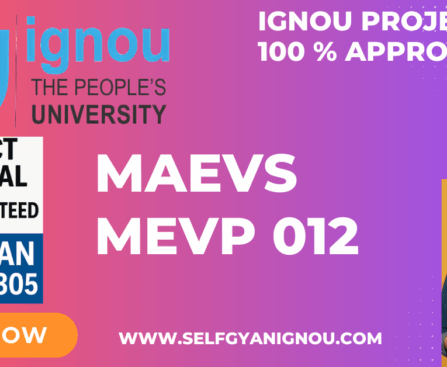 IGNOU MAEVS PROJECT