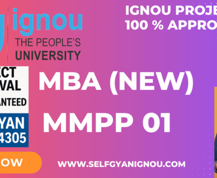 IGNOU MBA PROJECT