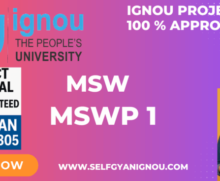 IGNOU MSW PROJECT